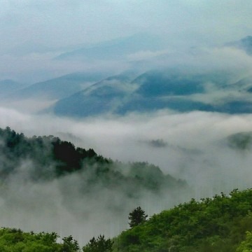 语润长安