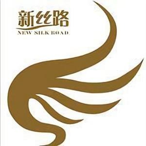 新丝路陕西